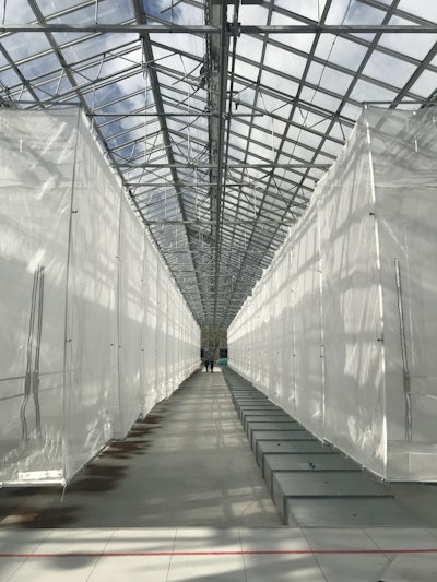 黑士兵飞鸟在这些自动化笼子里生存约14天,直到自然消亡并成为有机肥料成份