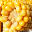 Corn White Background Byrev Pixabay