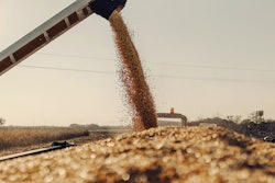 Filling Tractor Trailer With Corn