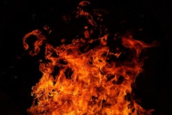 Fire Ronald Plett From Pixabay