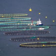 Fish Farming 7557623 1280