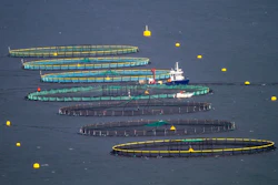 Fish Farming 7557623 1280
