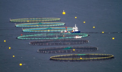 Fish Farming 7557623 1280