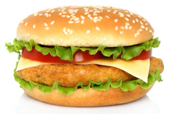 Fried Chicken Patty Sandwich 1