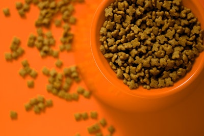 Pet Food In Bowl Orange Outsideclick Pixabay