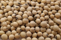 Soybean Seeds In Pile Egroll Pixabay