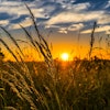 Wheat Field At Sunset Felix Mittermeier Pixabay