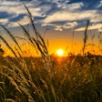 Wheat Field At Sunset Felix Mittermeier Pixabay