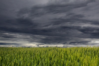 Wheat Field Dark Storm Clouds Alois Wonaschuetz Pixabay