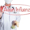 Avian Flu Illustration