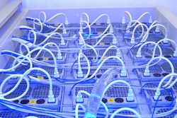 Computer Processors Submerged In Nature Cool 2000