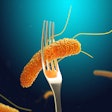 Salmonella On Fork