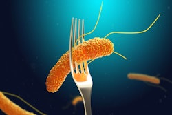 Salmonella On Fork