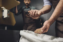 Brewery Distillers Grains Ddgs