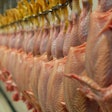 Chicken Processing Closeup