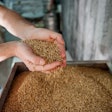 Malt Barley Beer Process Uirams Pixabay