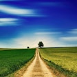 Pathway Through Two Grain Fields Jplenio Pixabay