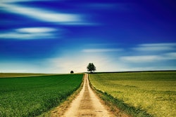 Pathway Through Two Grain Fields Jplenio Pixabay
