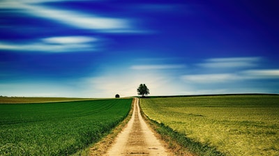 Pathway Through Two Grain Fields Jplenio Pixabay