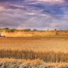 Wheat Harvest With Tractor In Field Analogicus Pixabay