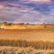 Wheat Harvest With Tractor In Field Analogicus Pixabay