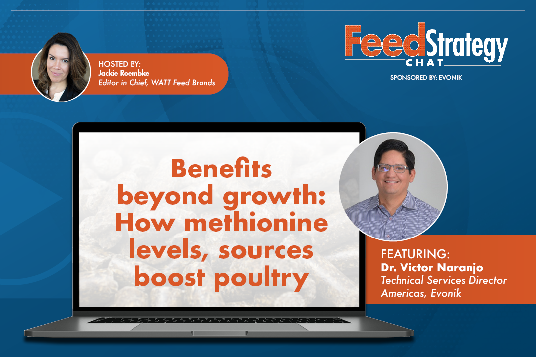 Benefits Beyond Growth How Methionine Levels, Sources Boost Poultry Health Title Card