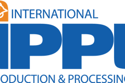 Ippe Logo