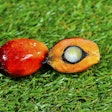 Close Up Of Fresh Palm Oil Fruits 3306098 1280