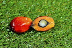 Close Up Of Fresh Palm Oil Fruits 3306098 1280