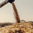 Corn Harvest