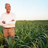 Gebisa Ejeta has used his research for creating sorghum hybrids that are resistant to both severe drought and the destructive parasitic Striga weed.