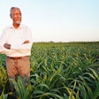 Gebisa Ejeta has used his research for creating sorghum hybrids that are resistant to both severe drought and the destructive parasitic Striga weed.