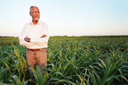 Gebisa Ejeta has used his research for creating sorghum hybrids that are resistant to both severe drought and the destructive parasitic Striga weed.