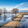Flooded Farm Fields