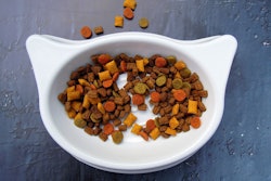 Pet Food In Cat Dish Crepessuzette Pixabay