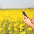 Pexels Kaboompics Com 6465