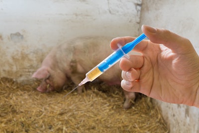 Pig Vaccine