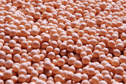Soybeans Nishimura1123m Pixabay