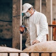 Vet Giving Vaccines To Pigs