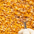 Aflatoxin
