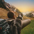 Cat owners are closer than ever to their feline companions, and as a result they’re looking to maximize their animal’s health with the best cat food and treat options out there.