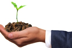 植物自存 Sarah Richter艺术Pixabay