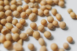 白背景大豆PolinaTankilevitch