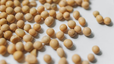 Soybeans On White Background Polina Tankilevitch Pexels