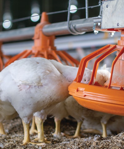 As genetics have changed and moved forward, is the industry keeping up from a nutritional perspective?