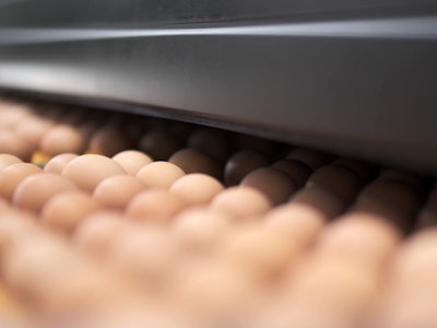 Moba Egg Grader
