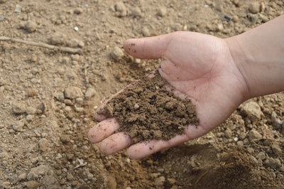 Checking Soil In Hand Pixabay