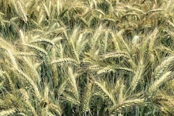 drum小热场dspiersPixabay