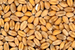 小麦谷类Pile Pixabay Klaus Beyer