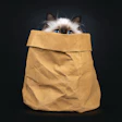 Cat owners have long known their animals are worth it, and now the pet food industry may be catching up.